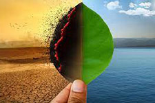 Environment and Climate Change