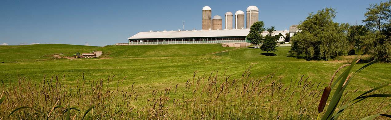 Milford Farm, East Hants