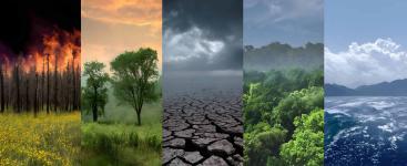 Climate Risk Assessments Webinar
